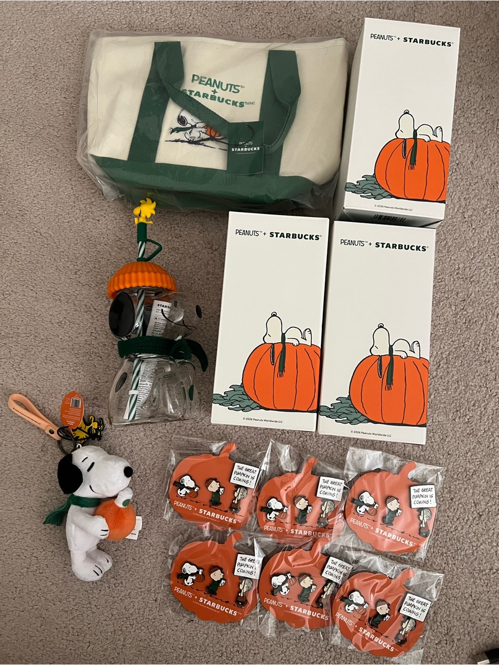 Starbucks x Peanuts BIG LOT